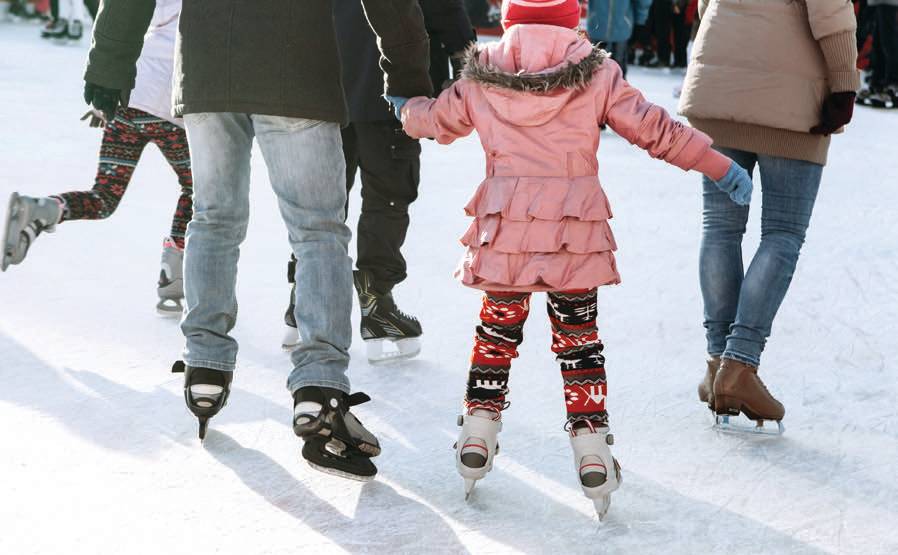 Flight on Ice in Newtown Square