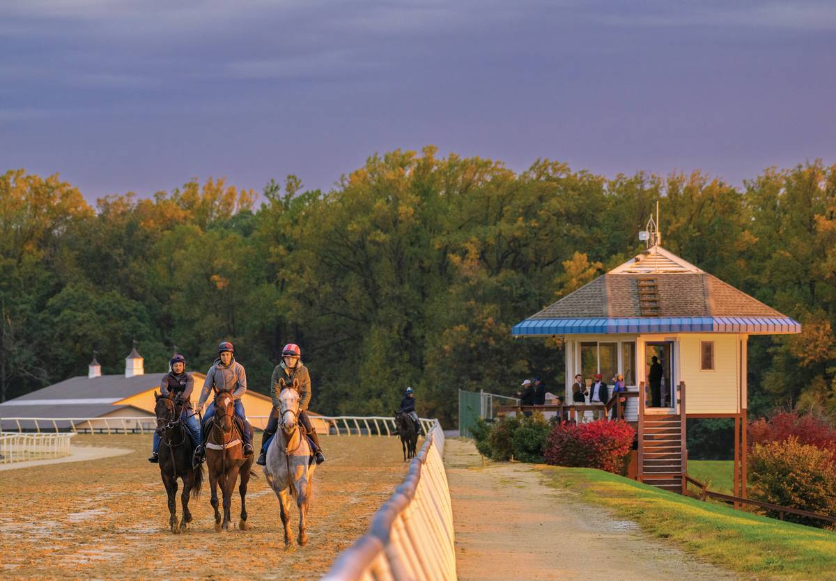 fair hill training track