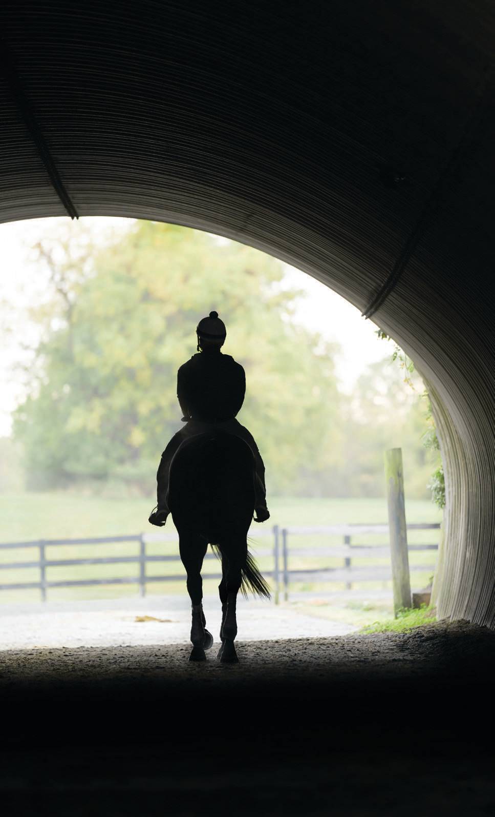 fair hill training center