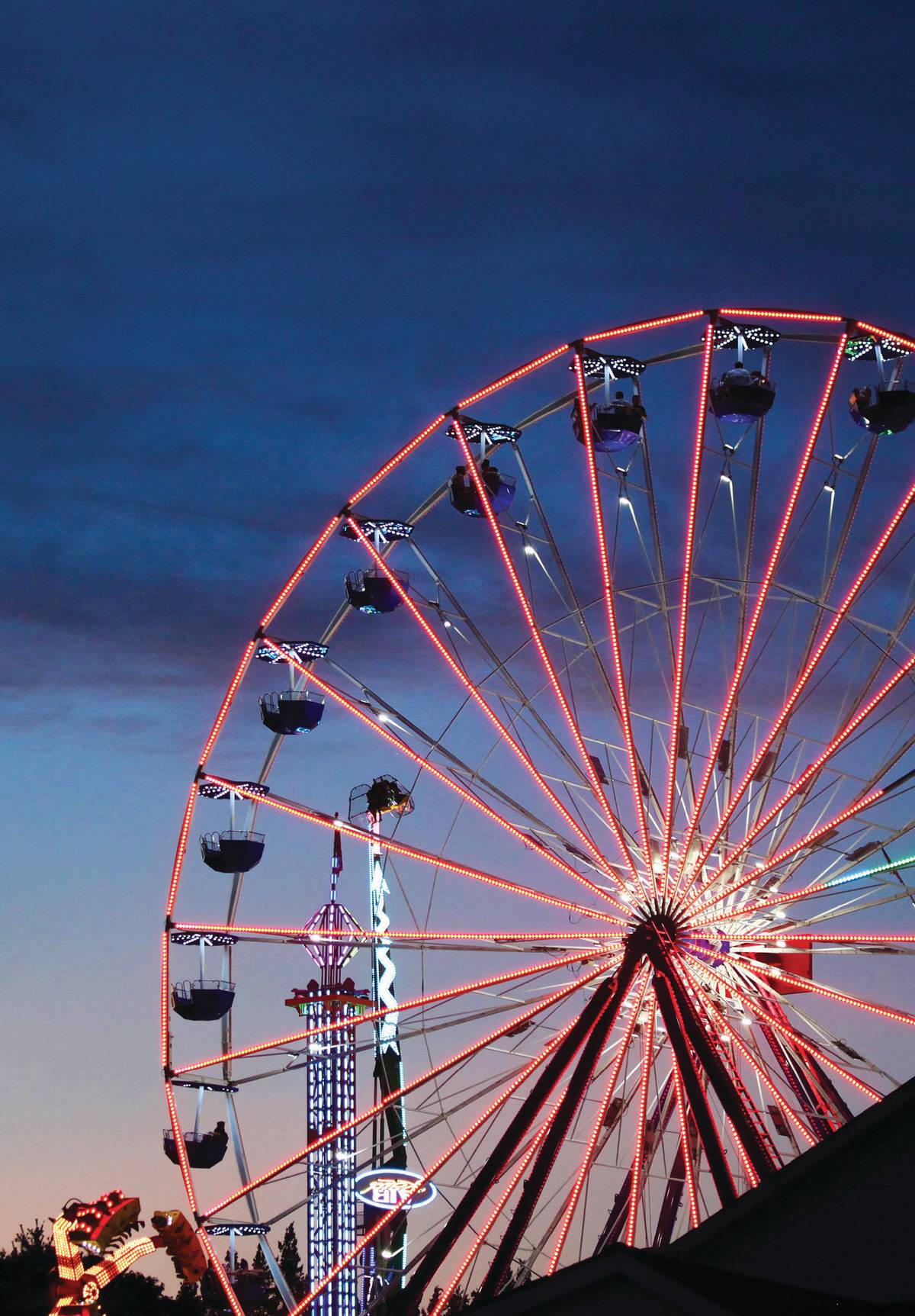 County Fairs to Visit in the Hudson Valley This Summer