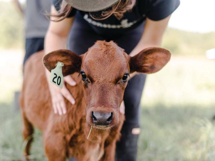 Hawthorne Valley Farm